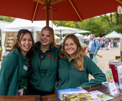 Krefeld Pinguine – Iserlohn